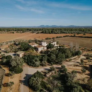 Es Llobets - Adults Only 3*, El Estanyol Spagna